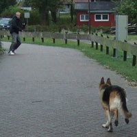 Sans Regret (@pastafari007) Twitter profile photo