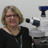 Dr Rachael Murray she/her (@rachaelzmurray) 's Twitter Profile