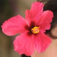 Drachen Wachküsserin 🇨🇭 Alles für die 🇨🇭 (@alba_saluda) 's Twitter Profile Photo Drachen Wachküsserin 🇨🇭 Alles für die 🇨🇭 (@alba_saluda) 's Twitter Profile Photo