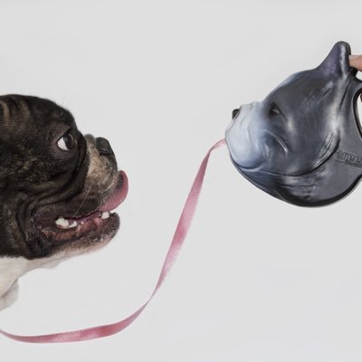 Coming soon @Kickstarter. The #Frenchie Breed Lead is a retractable #FrenchBulldog lead that looks like your dog. Join today to grab #EarliBird discounts