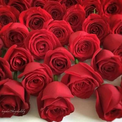 44mlty44alkale's profile picture. 