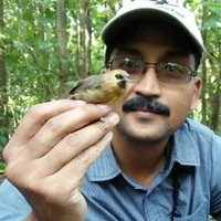 Suresh Kumar (@sureshwii) 's Twitter Profile