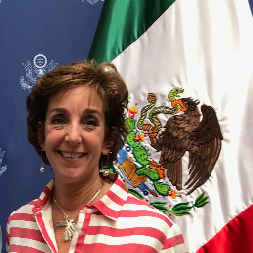 Former U.S. Ambassador to Mexico, now founding partner, Dinámica Americas.