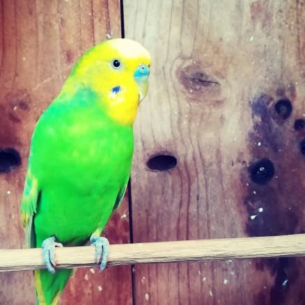 mtasr19's profile picture. システムエンジニア→コンサルで仕事中。ゲームを夜な夜なプレイするのが好き