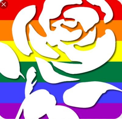 We are the LGBT+ caucus for all young labour members in london.
Account Run by @jewishgirl613