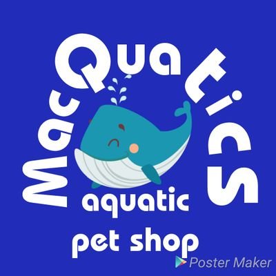 Small independent pet shop supplying freshwater fish for your aqurium all at competitive prices book now for an appointment