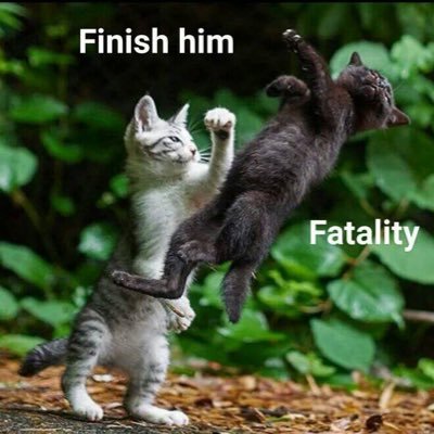 najibbakr's profile picture. 