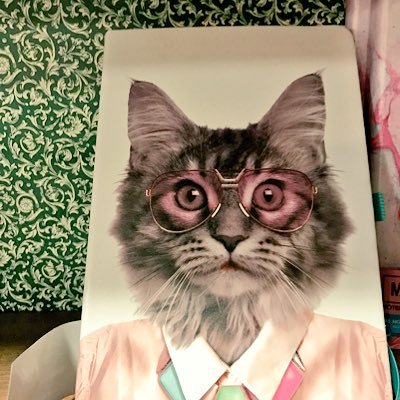 training4tacos's profile picture. • Taco Enthusiast • Fan of Jokes • Continually searching for my new favorite book • ✨