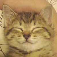 ノーブルウィルタカシ (@theta0217) 's Twitter Profile Photo