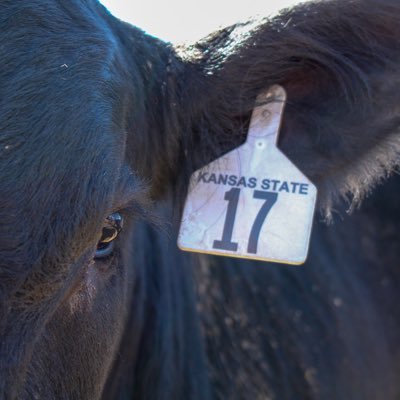 KSshowgirl's profile picture. 