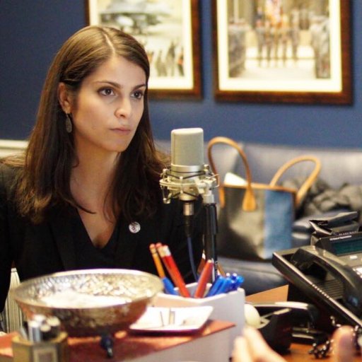 FrancescaGortz's profile picture. Democracy, Human Rights, Governance Lover and Supporter | Retweet ≠ Endorsement | Opinions Are My Own | Lover of All Things Food and Travel | 🇦🇲🇫🇷🇺🇸