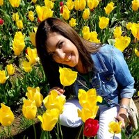 Michelle Cook (@cs07cook) 's Twitter Profile