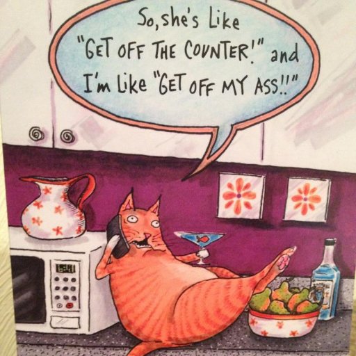 Married, mom of two awesome kids, four beautiful grandchildren, love to cook and read, and a HUGE Detroit Tigers fan (probably borders on insanity!).