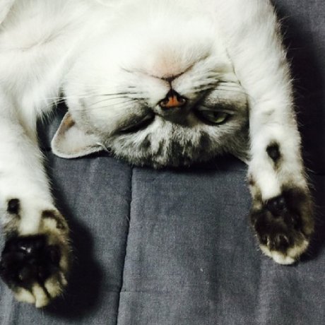 nacyo_t's profile picture. @nacyotkim 으로 계정 이전했습니다!