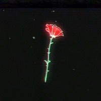 L ī v a ♥ (@lva52162194) 's Twitter Profile
