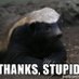 Raised Eyebrow (@eyebrow_raised) Twitter profile photo Raised Eyebrow (@eyebrow_raised) Twitter profile photo