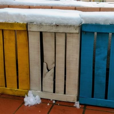 HoldenCauldfiel's profile picture. Maestro Reiki Nivel 1'5.