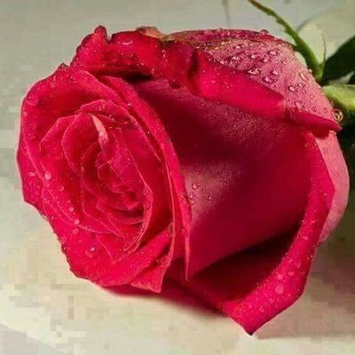 GAT_1972's profile picture. 