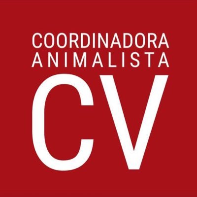 CoordinadoraCv Profile Picture