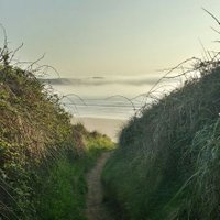 Anaesthesia And Critical Care Medicine North Devon (@aaccmnddh) 's Twitter Profile