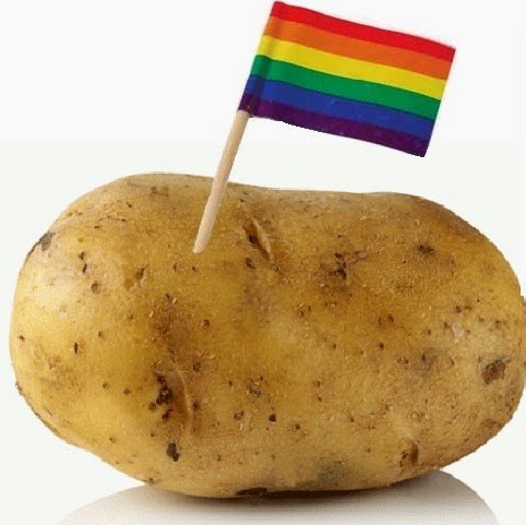 Queer Potato