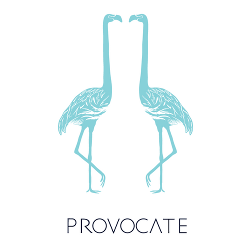 ProvocateIndy's profile picture. Educate. Participate. Provocate.