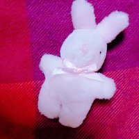 鳥籠 兎(トリカゴ ウサギ) (@pink_rabbit_xxx) 's Twitter Profile Photo