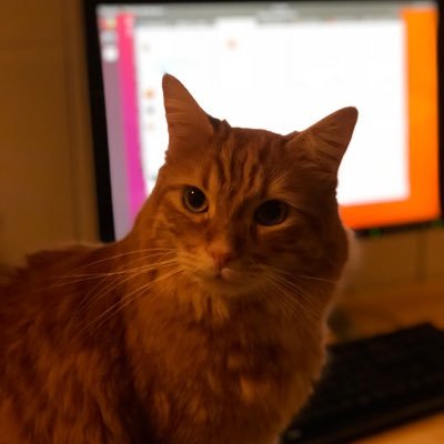 Go big or go home.
Follow me on Mastodon @venabled@sigmoid.social