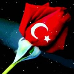 EkncPLC's profile picture. 