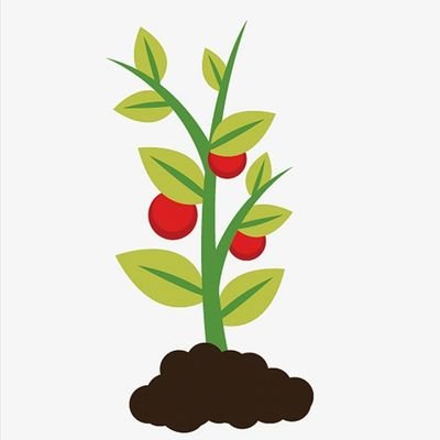Esta cuenta es Nueva 
Atentos a las publicaciones🔔
Mostraré más allí 🌵
Amante de las plantas 🌻🌷
Aquí tienes mi cuenta de Instagram ⤵⤵⤵