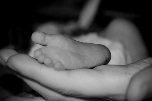 bakeraaron's profile picture. Christ Servant. Husband. Father.