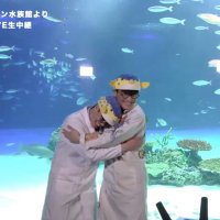 Gnish (@sakana_to_gnu) 's Twitter Profile