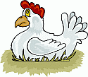 Backyard_Chick's profile picture. Backyard chickens are cool. I have loved chickens since I was a kid on the farm.