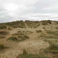 Friends of North Wirral Coastal Park (@nwirralcoastpk) 's Twitter Profile Photo Friends of North Wirral Coastal Park (@nwirralcoastpk) 's Twitter Profile Photo