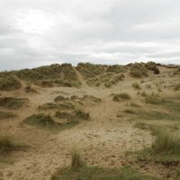 Friends of North Wirral Coastal Park(@NWirralCoastPk) 's Twitter Profile Photo