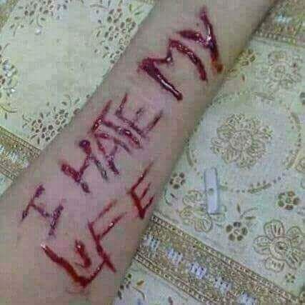 BabyLov15102891's profile picture. 