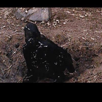 lvthn_09's profile picture. ♐️
23