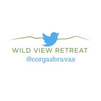 CorgasBravas(@CorgasBravas) 's Twitter Profile Photo
