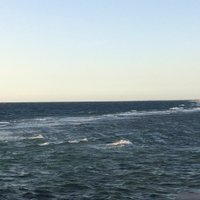 سماء (@s_ama_z) 's Twitter Profile