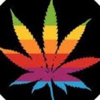 Kostarex (@kostarex) 's Twitter Profile