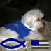 Christian, RN,soon to be grandmother, love my country/our military; advocate for the vulnerable; proud of my EXCEPTIONAL nation!