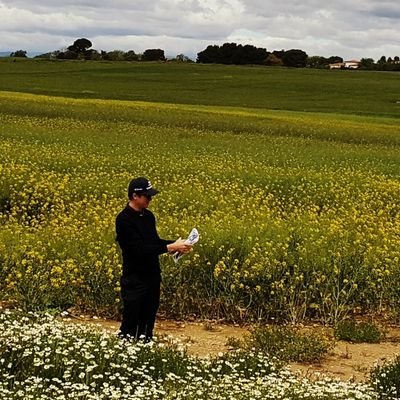 danjeffer's profile picture. Traveling Golf Course Architect