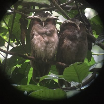 claretviolin's profile picture. Football Movies Music Food