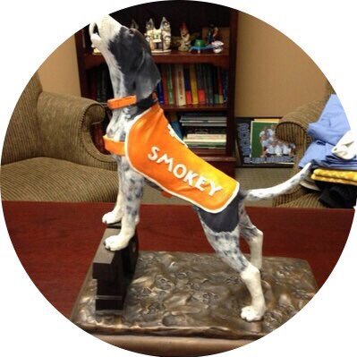 SpearsTommy's profile picture. 