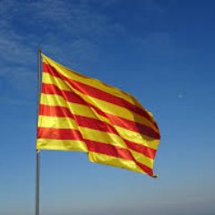 Twitter de gent pròxima a un nou partit, Units per Avançar, @UnitsCat