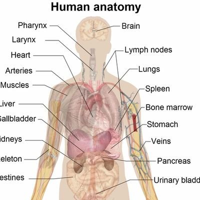 Sr Laboratory technologist in  Human Genetics Dept(Bangalore)