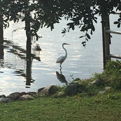 angieleaf's profile picture. Random ad nerd, random producer. Live to Learn.