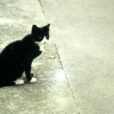 ろくすけさんのプロフィール画像