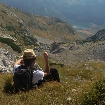 bozinna's profile picture. Српски националиста, звездаш, инжењер, рокер,  мрзитељ вучића, додика, пинка, ријалитија, прајдова и сличне болештине!
...
само хумора дајте!