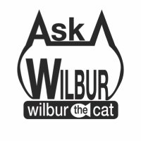 Wilbur(@AskWilburTheCat) 's Twitter Profile Photo